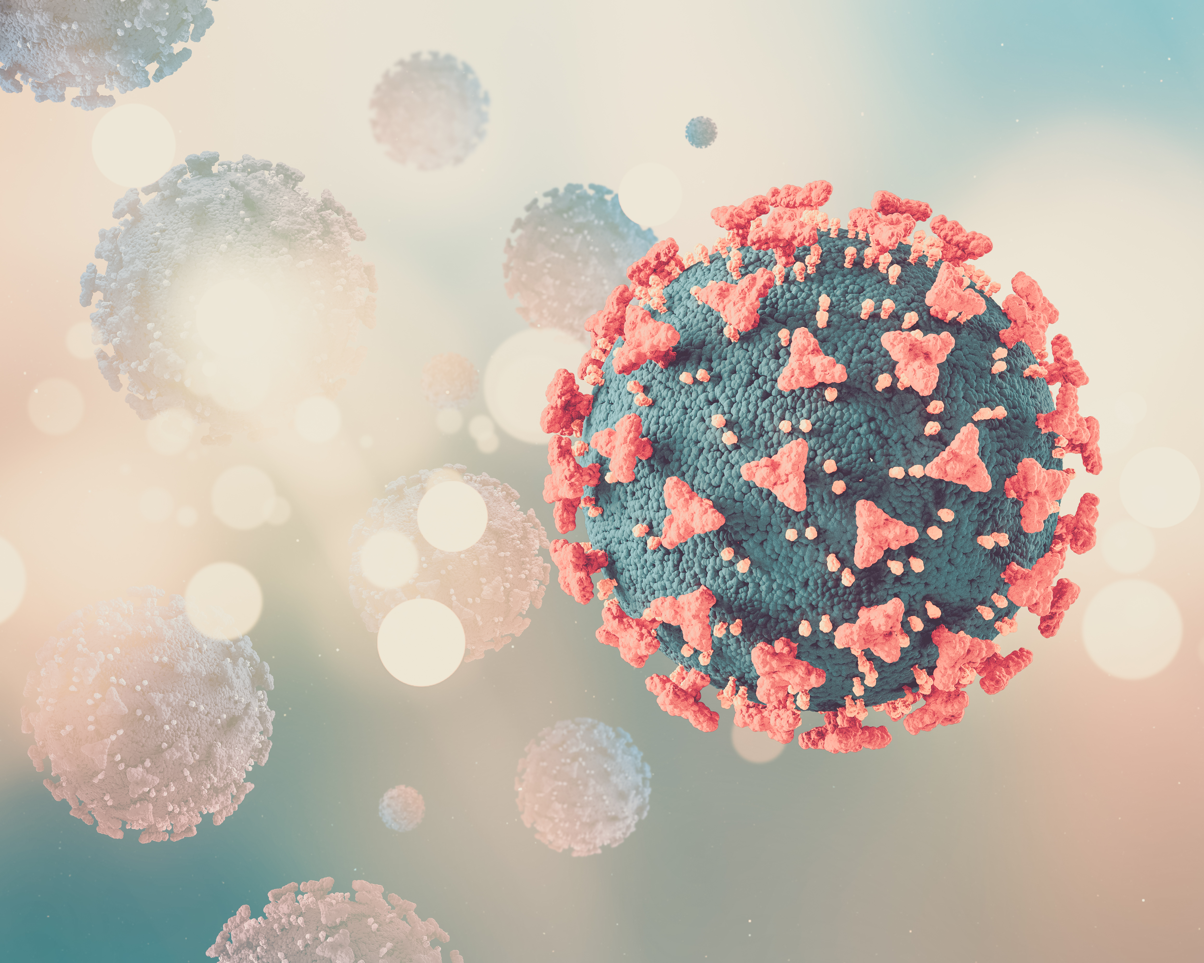 HPV aşısı görseli